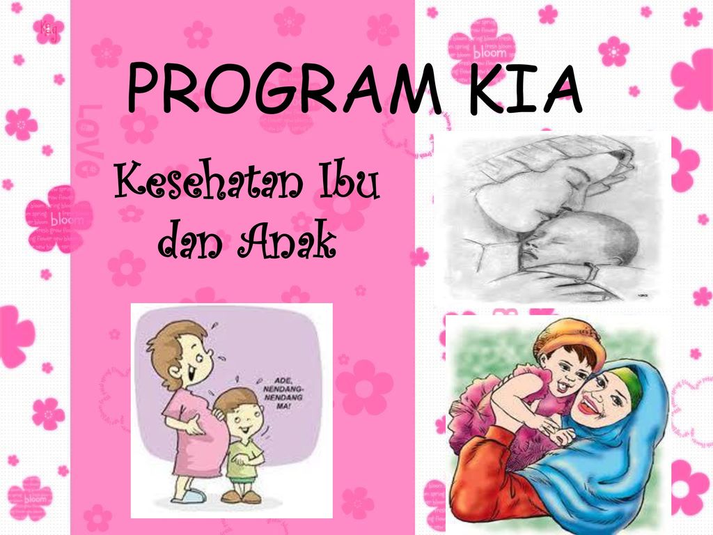 Program Kesehatan Ibu dan Anak