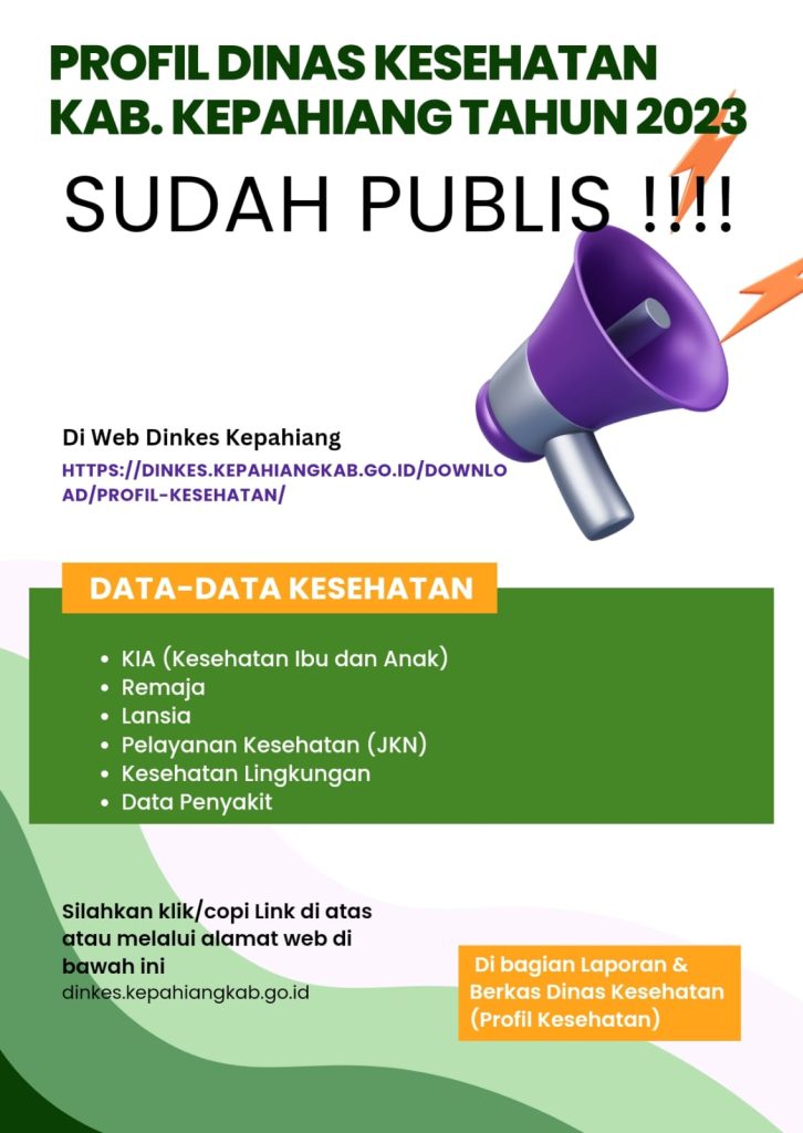 Sampul Profil Kesehatan 2024
